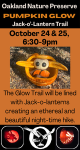 Join ONP for Pumpkin Glow Jack-o-lantern Trail October 24-25th